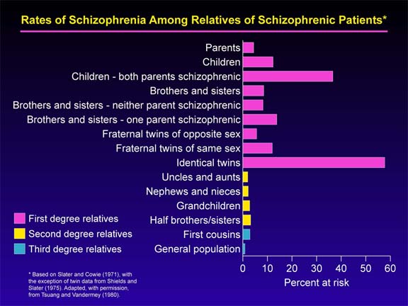 Case studies done on schizophrenia